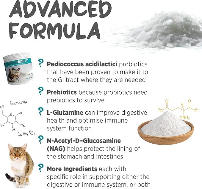 maxxipaws maxxidigest+ Prebiotic & Probiotic for Cats 7oz | Cat Probiotic Powder with Advanced Digestive Enzymes for Gut Health & Immunity | Supports Digestion, Food Sensitivities & Itchy Skin