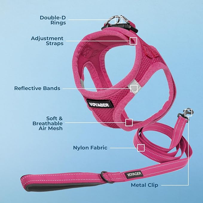 Voyager Step-in Air All Weather Mesh Harness and Reflective Dog 5 ft Leash Combo with Neoprene Handle, for Small, Medium and Large Breed Puppies by Best Pet Supplies - Set (Fuchsia), L