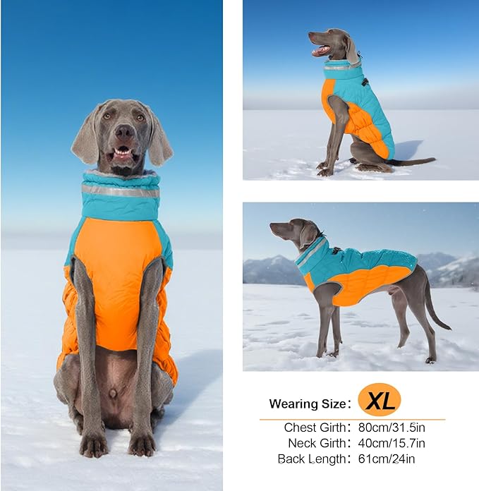 Warm Dog Jackets for Small Dogs, Waterproof Dog Coat with Harness Built in, Zipper Clousure, Fleece Lining for Cold Weather, Small Pet Winter Clothes for Shih Tzu, Yorkshire, Bichon - S