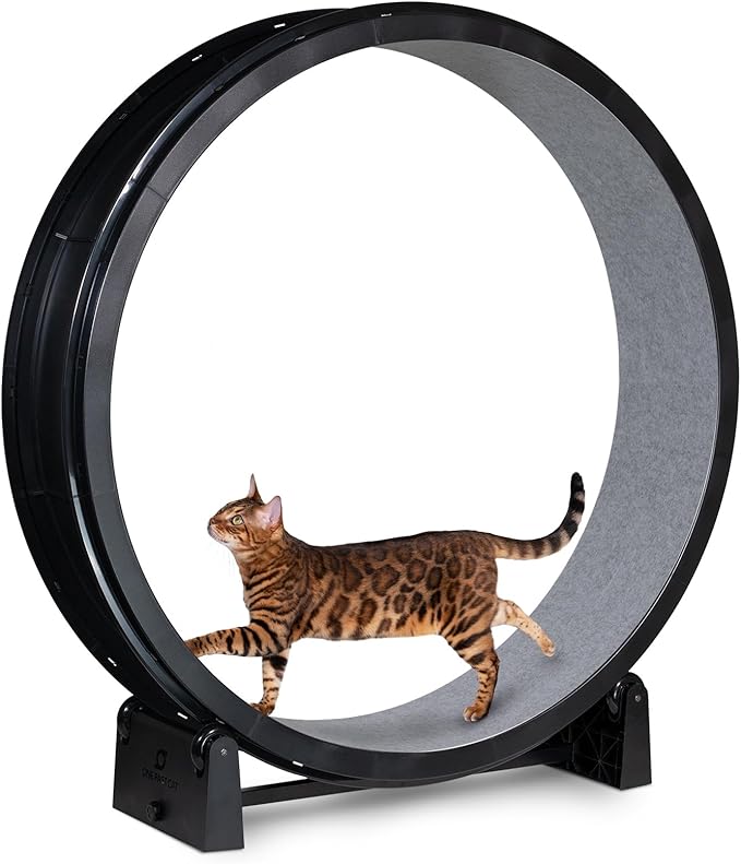 One Fast Cat - Cat Exercise Wheel - Gen. 7 - Safe 48" Diameter - Made in The USA - Black Wheel with Gray Felt Traction Pads and Solid Black Inline Wheels