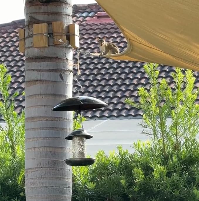 13" Bird Feeder Rain Guard, Hummingbird Feeder Shade Dome Cover, Hanging Baffle for Bird Feeder Pole (Black), 3 Pack