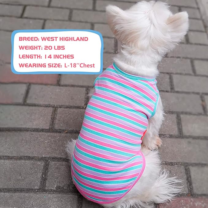 KYEESE 2Pack Dog Shirts Striped T Shirt Soft Tee for Small Dogs Cotton Tank Top Clothes Lightweight Sleeveless Dog Vest, X-Large,Purple+Striped