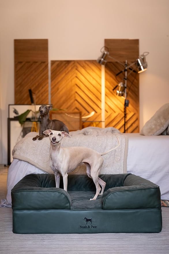 NOAH & PAW Large Dog Bed, 35x25x11 Inch, Orthopedic Dog Beds, Eggshell Memory Foam Infused with Cooling Gel, Inner Cover, Waterproof, Machine Washable (Faux Leather Sofa Collection)