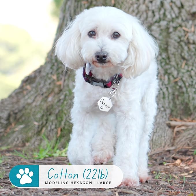 Ultra Joys Dog Tags Personalized for Pets - Hollow Paw Custom Pet ID Tag - Engraved Dog Tag for Small, Large Dogs - Small Hexagon in Silver