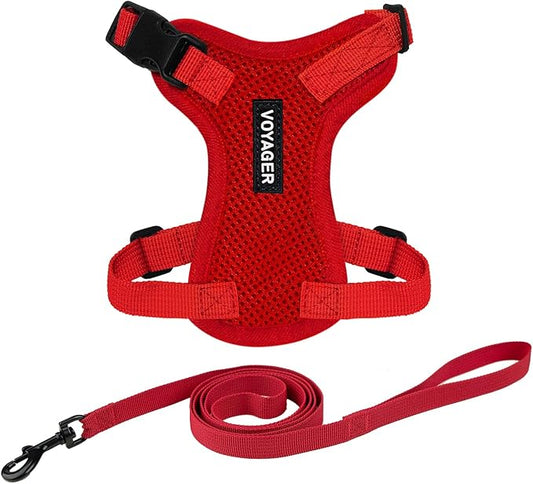 Voyager Step-in Lock Adjustable Cat Harness w. Cat Leash Combo Set with Neoprene Handle 5ft - Supports Small, Medium and Large Breed Cats by Best Pet Supplies - Red, XXXS