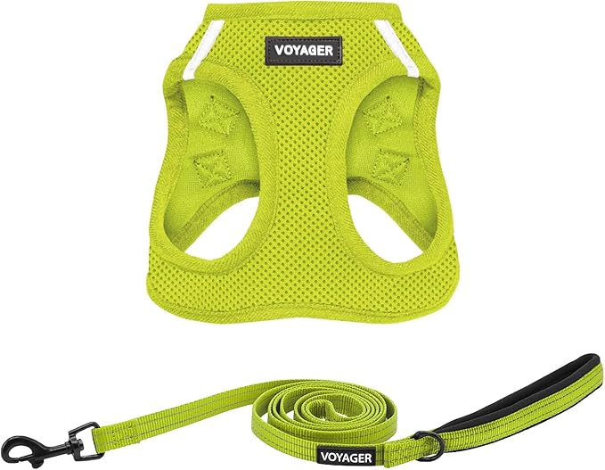 Voyager Step-in Air All Weather Mesh Harness and Reflective Dog 5 ft Leash Combo with Neoprene Handle, for Small, Medium and Large Breed Puppies by Best Pet Supplies - Set (Lime Green), XL
