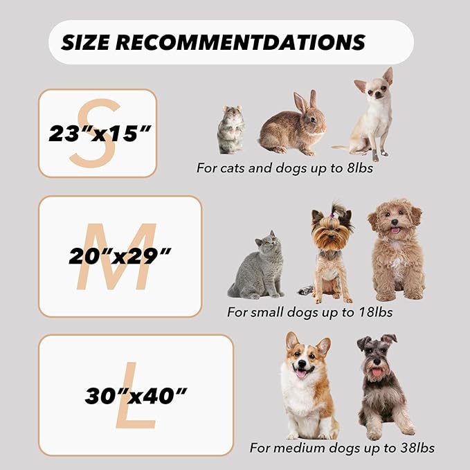 SORKUT 1 Pack 6 Dog Blankets Puppy Blanket Super Soft Fluffy Small Fleece for Pet Blanket for Small Dogs Cat,Medium (29"x20")