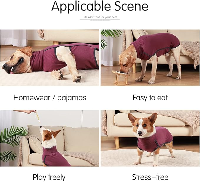 Dog Sweater Pullover Cold Weather Vest for Dogs Dog Sweatshirt & Jacket for Indoor and Outdoor Use (XX-Small, Wine red)