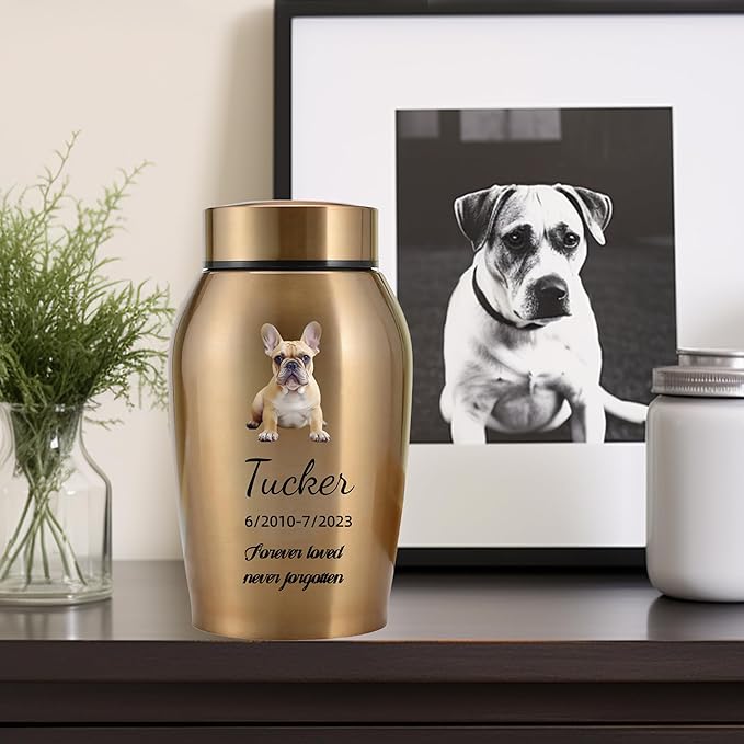 Custom Dog and Cat Urns for Ashes，Personalized Memorials Pet Urn for Ashes ，Custom Pet Name and Photo for Cremation Urns (Oval)
