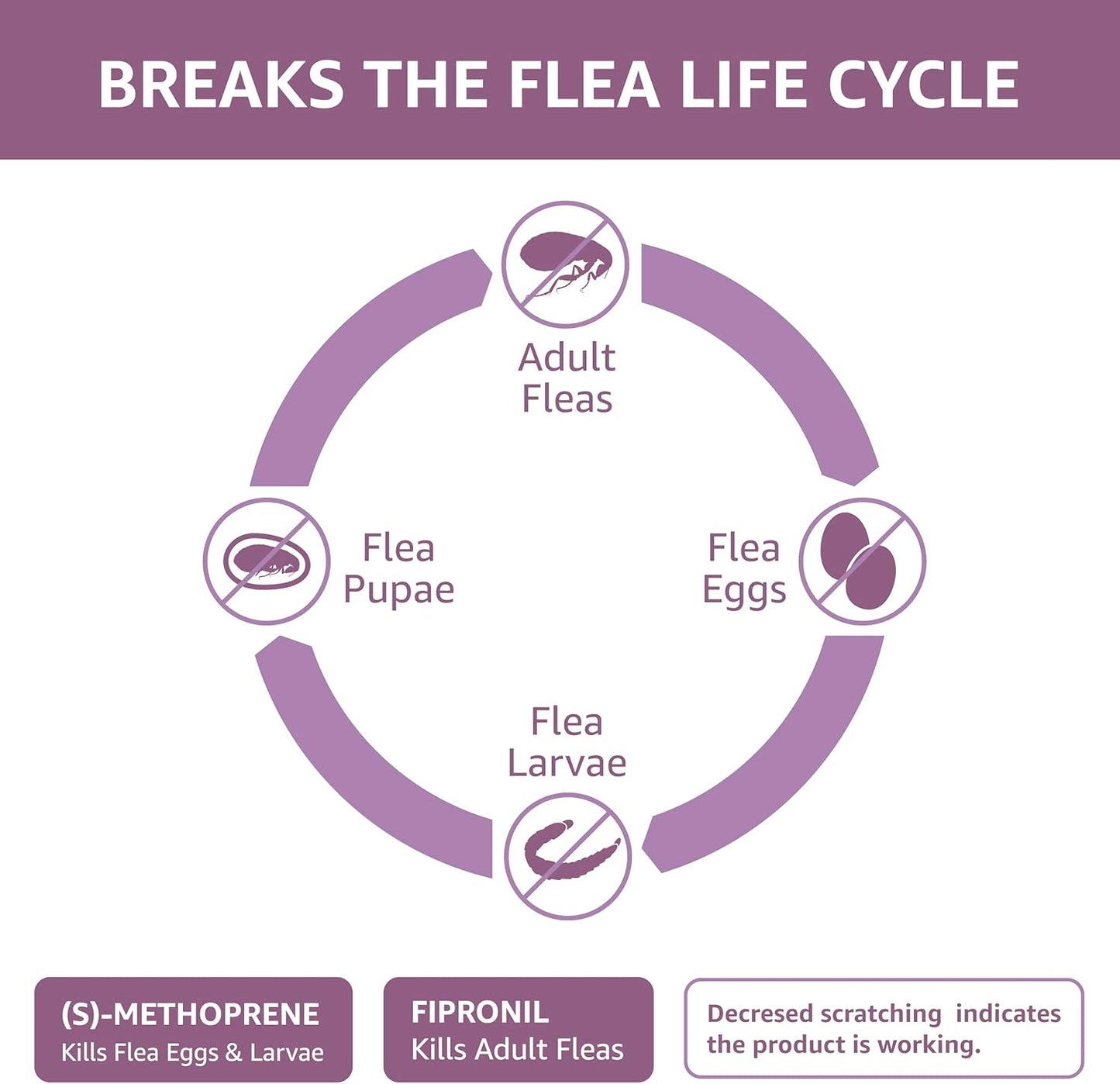 Amazon Basics Flea and Tick Topical Treatment for Large Dogs (45-88 lbs), Unscented, 6 Count (Previously Solimo)