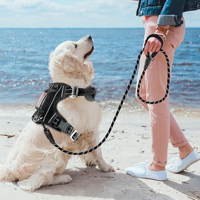 BARKBAY No Pull Dog Harness 3 Buckles Large Reflective Dog Harness with Front Clip and Easy Control Handle for Walking Training Running with ID tag Pocket(Black,XL)