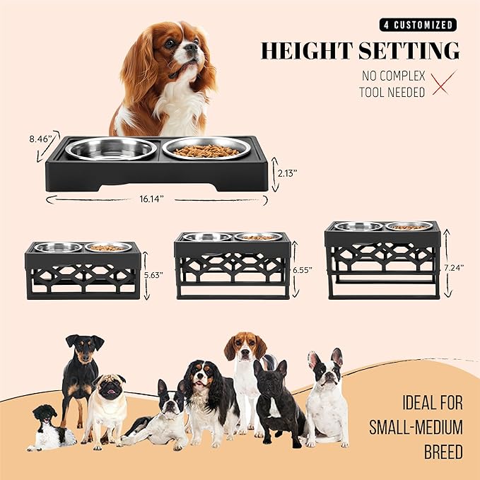 AVERYDAY Small Dog Bowls Elevated, 4 Height Adjustable Raised Dog Bowl Stand with 2 Stainless Steel Food and Water Bowls Set, Tall Dogs Feeding Station with Anti-Slip Base for Small Medium Breeds Dogs