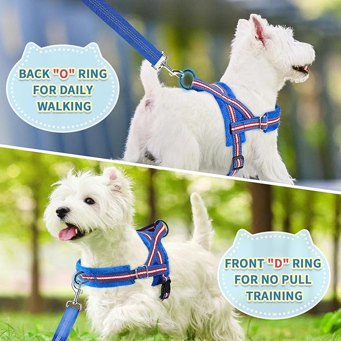 SlowTon No Pull Small Dog Harness and Leash Set, Puppy Soft Vest Harness Neck & Chest Adjustable, Reflective Lightweight Harness & Anti-Twist Pet Lead Combo for Small Medium Dogs (DB-Front Clip, XXS)