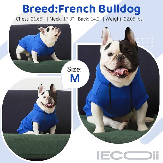 IECOii Medium Dog Sweatshirt with Hood, Spring & Fall Dog Clothes for Medium-Sized Dogs, Blue