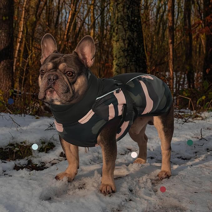 IECOii Extra Warm Reflective Adjustable Dog Jacket with Buckle Fleece Turtleneck for Cold Weather Soft Winter Coat for Small Medium Extra Large Dogs