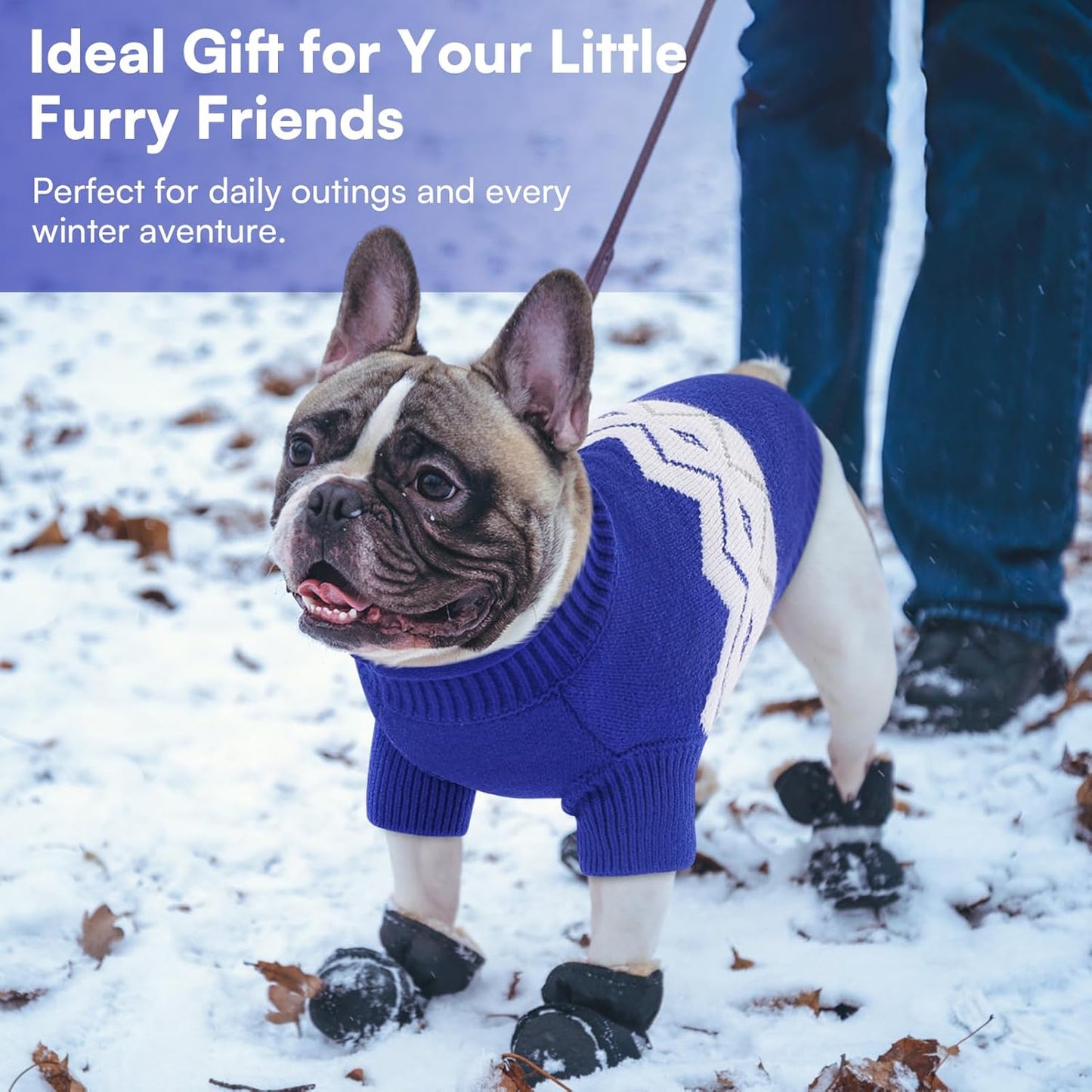 Queenmore Warm Dog Sweater, Soft Pet Knitwear, Knitted Pullover, Winter Pet Clothes for Small Medium Dogs Cats Blue