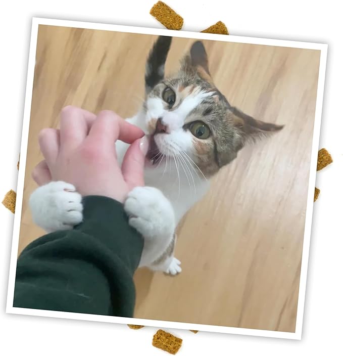 Meowijuana Crunchie Munchie Catnip Treats | Seafood Medley | Made with Organic Catnip | Produced in The USA | Low Calorie Cat Snack