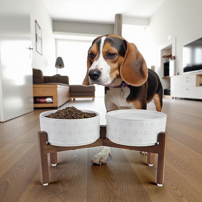 SPUNKYJUNKY Ceramic Dog Bowls with Acacia Wood Stand - Raised Dog Food and Water Bowl Set for Small to Medium Dogs (18.5cm)