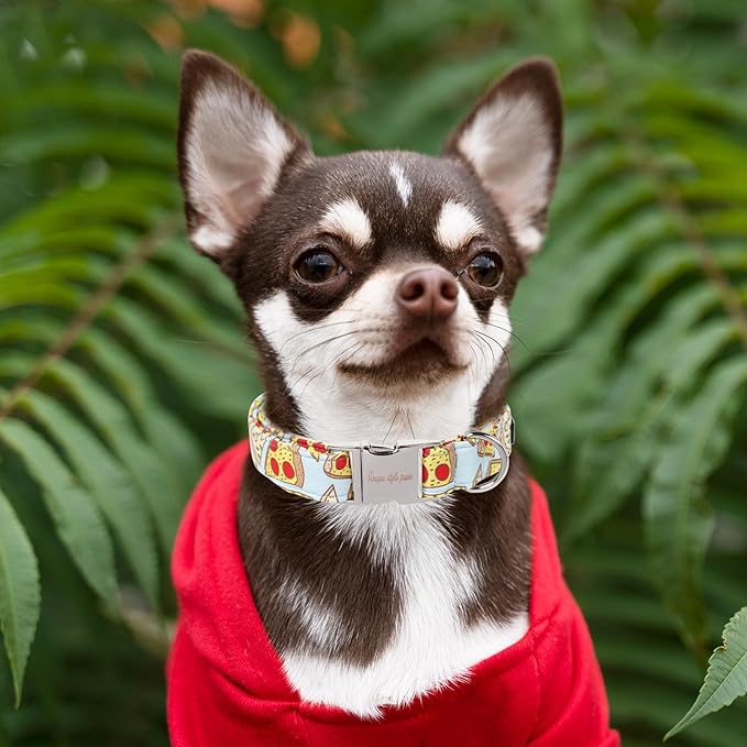 Unique style paws Dog Collar Metal Buckle Pizza Collar Gift Durable Cute Collar for Small Medium Large Boys Girls Dogs