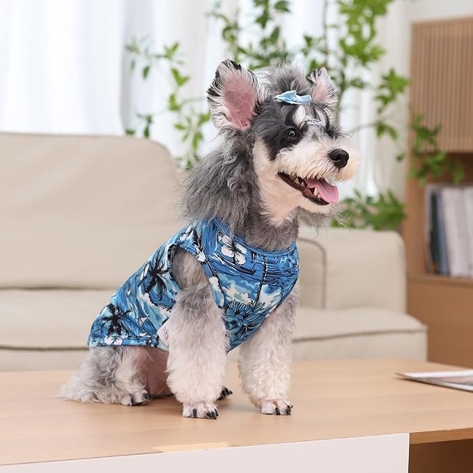 CuteBone Dog Shirts 2-Pack Soft Pet Clothes Breathable Summer Vest for Small Puppy and Stretchy Cat Apparel 2BX19XL