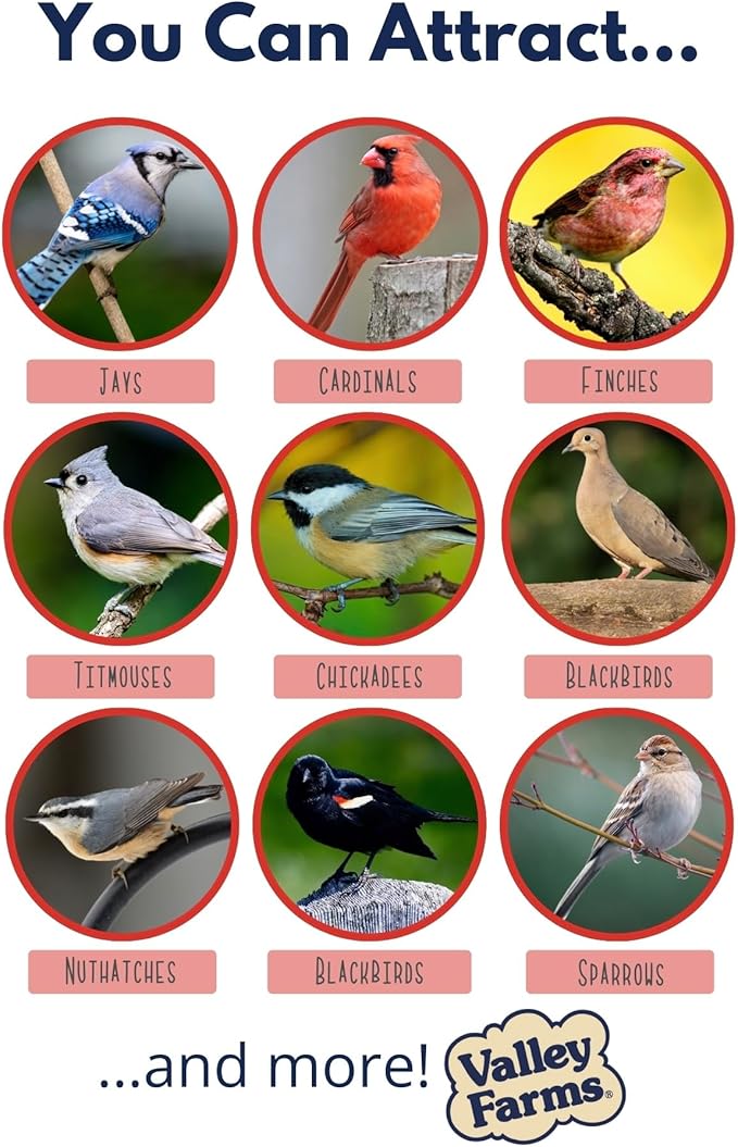 Valley Farms Deluxe Blend (40 LB) Wild Bird Food for Outside Feeders with Black Oil Sunflower and Safflower Seeds for Birds - Value Birdseed