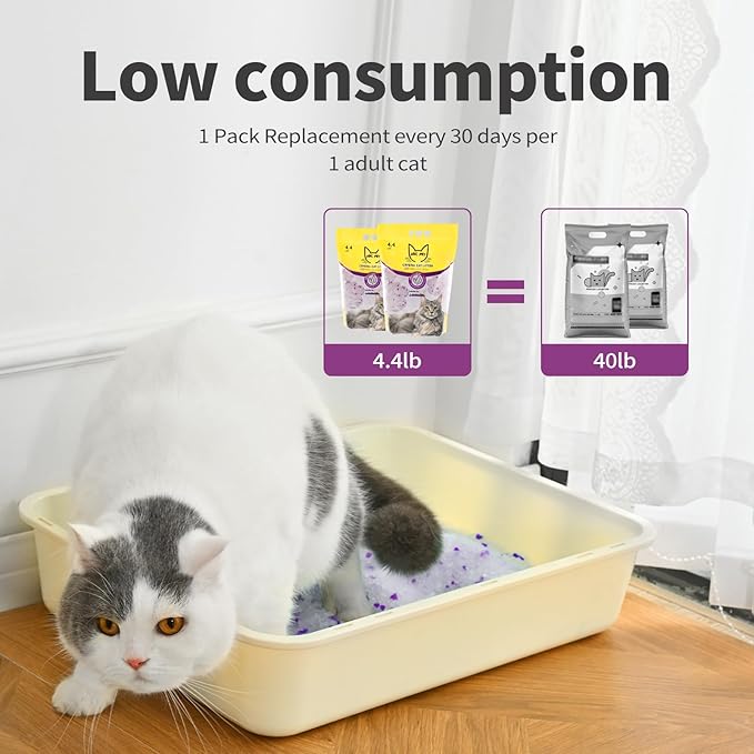 Cat Litter Crystals No Clumping Odor Control Kitty Litter Non-Clumping No scooping Low Dust, Low Tracking, Dehydrates Waste Lavender - 8.6 lbs (2 x 4.3 lb Packs)