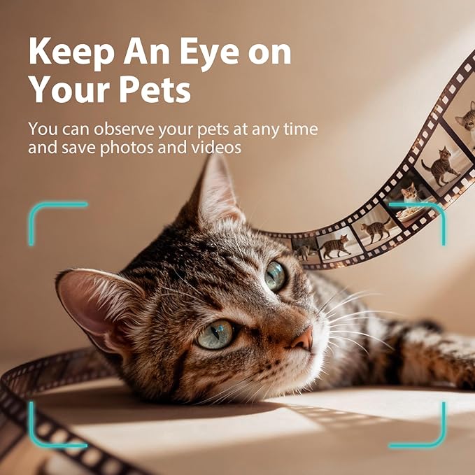 IMIPAW 5L Automatic Cat Feeder with Camera, 1080P HD AI Pet Recognition Recording, 5G WiFi APP Remote Control, Timed Programmable Food Dispenser, Two-Way Audio, Night Vision Function with Desiccant