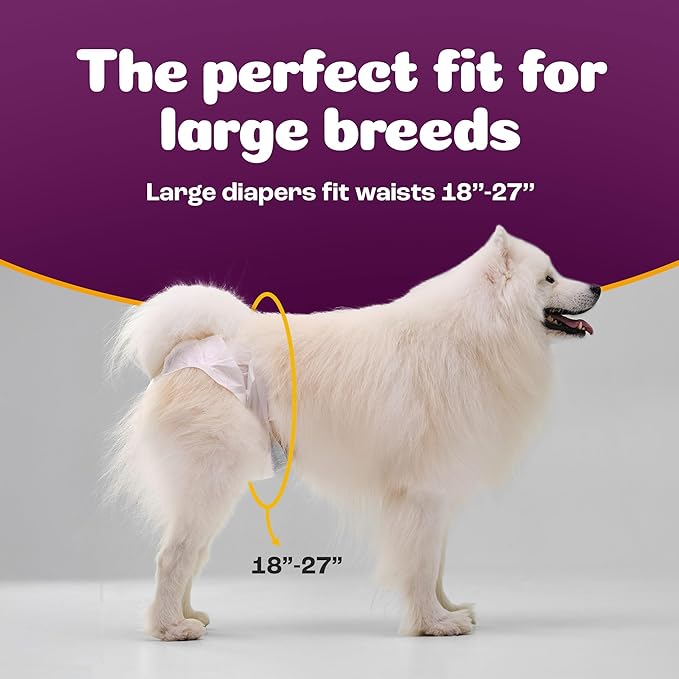 Inspire Pet Care Dog Diapers Female Dogs | Bulk Value Doggie Incontinence, Accidents, for Heat, Pee or Period and Housebreaking (Large (30 Count))
