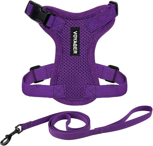 Voyager Step-in Lock Adjustable Cat Harness w. Cat Leash Combo Set with Neoprene Handle 5ft - Supports Small, Medium and Large Breed Cats by Best Pet Supplies - Purple, S