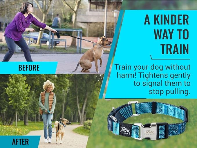 Black Martingale Collar for Dogs - Heavy Duty Nylon Pet Collars for Escape-Free, No Pull Training & Walking with Alloy Metal Release Buckle & Reflective D Ring, One Time Adjustment, Safe & Secure, L