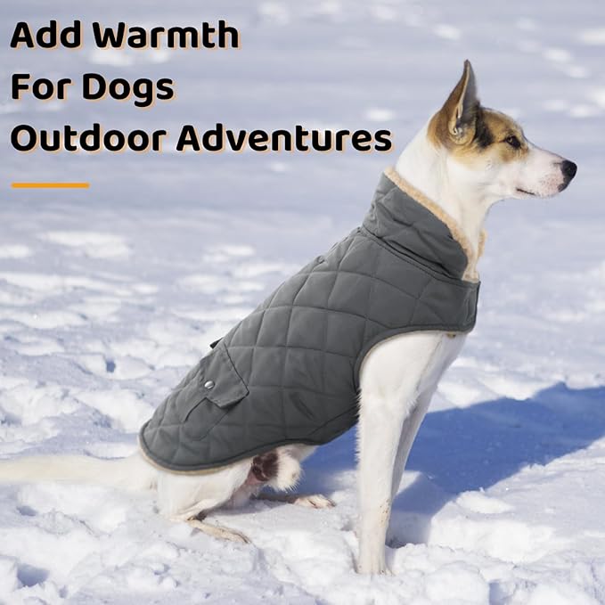 Queenmore Dog Winter Coat - Fleece Jacket, Waterproof Cold Weather Clothes, Thick Warm Cotton Padding, Easy On Storage Pockets (Grey, X-Large)