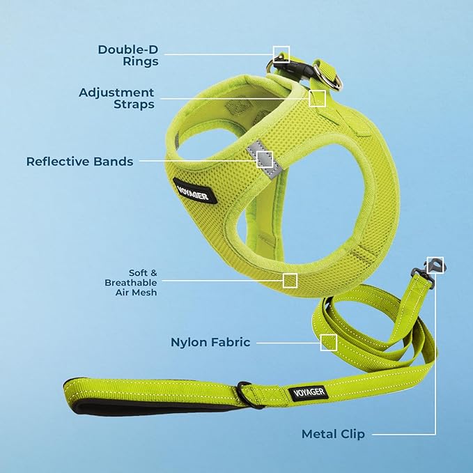 Voyager Step-in Air All Weather Mesh Harness and Reflective Dog 5 ft Leash Combo with Neoprene Handle, for Small, Medium and Large Breed Puppies by Best Pet Supplies - Set (Lime Green), XL