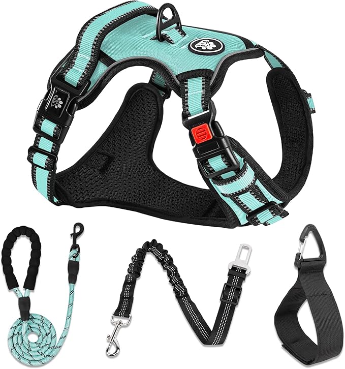 NESTROAD No Pull Dog Harness,Adjustable Oxford Dog Vest Harness with Leash,Reflective No-Choke Pet Harness with Easy Control Soft Handle for Large Dogs(X-Large,Turquoise)