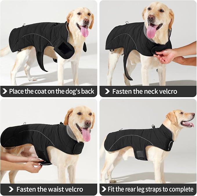 HEYWEAN Dog Winter Coat - Waterproof Windproof Reflective Vest for Medium & Large Breeds Adjustable Warm FleeceLined Jacket with Magic Tape & D-Ring for Leash Cold Weather Apparel (Black, Medium)