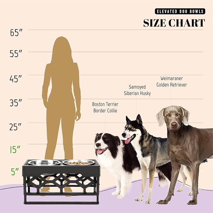 AVERYDAY Large Dog Bowls Elevated, 4 Height Adjustable Raised Dog Bowl Stand with 2 Stainless Steel Food and Water Bowls Set, Tall Dogs Feeding Station with Anti-Slip Base for Medium Large Breeds Dogs