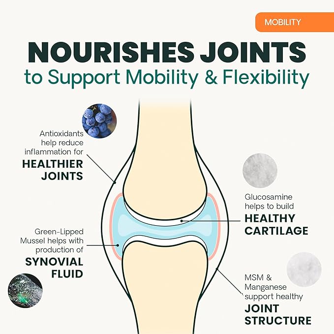 VetriScience Extra Strength Healthy Hip & Joint Chewable Tablets, GlycoFlex Glucosamine and Green-Lipped Mussel Joint Support Supplement for Dogs, Soothe Joint Discomfort, Chicken, 120 Count