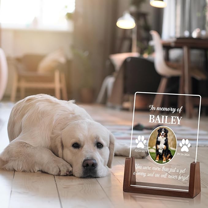 Dog Memorial Gifts for Loss of Dog, Pet Memorial Gifts for Dogs, Customized Pet Memorial Acrylic Night Light, Pet Loss Sympathy Gift, Christmas Birthday Gifts for Pet Lovers, Dog Bereavement Gifts
