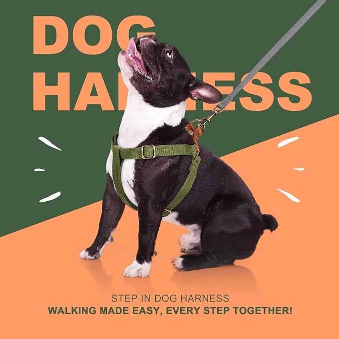 Didog Step in Dog Harness with Metal Buckles, Freedom Nylon Dog Halter Vests for Small Dogs Easy Walking Training(XS:Chest 9-12", Green)