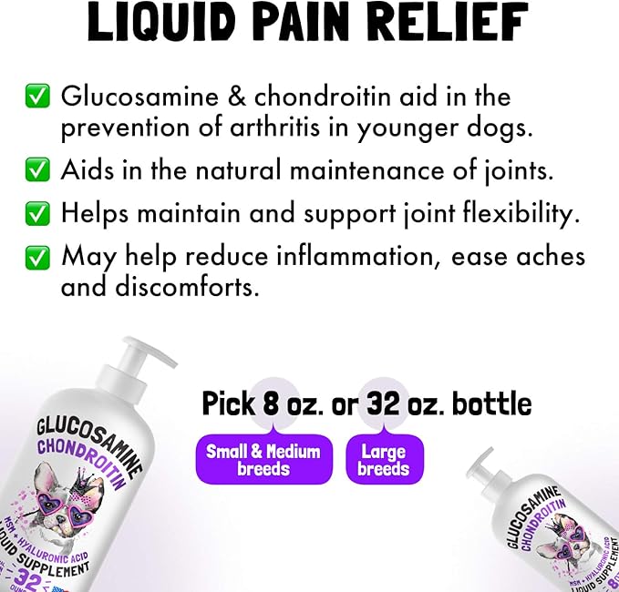 Liquid Glucosamine for Dogs Bacon Flavour Chondroitin, MSM & Hyaluronic Acid K9 Supplement Hip and Joint Formula Advanced Mobility Joint Pain Relief Senior Advanced Supplement for All Breeds 32 oz