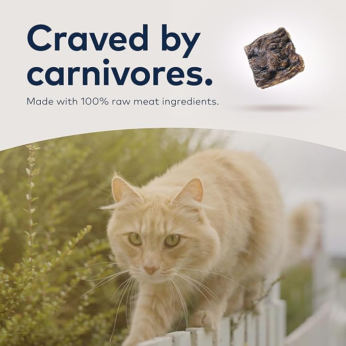 ZIWI Peak Air-Dried Cat Food – Chicken - All Natural, High Protein, Grain Free, Limited Ingredient w/ Superfoods (35.2oz)