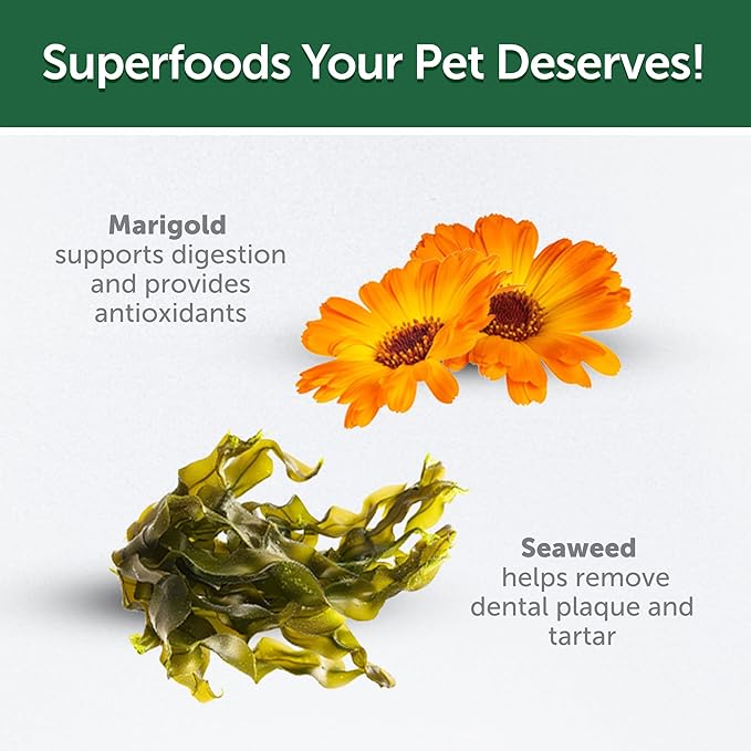 Nature's Protection Low Calorie Cat Treats - Crunchy Cat Snacks Treats for Indoor Cats - with Vitamins & Prebiotics for Urinary Health, Weight & Hairball Control (Superior Care - Poultry, 2.64 oz)