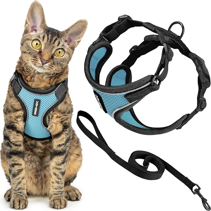 Voyager Escape Proof Cat Harness and Leash Set with Reflective Stitching, Neoprene Handle 5ft - Supports Small, Medium and Large Cats, Kittens for Walking by Best Pet Supplies - BT-Baby Blue, XXS
