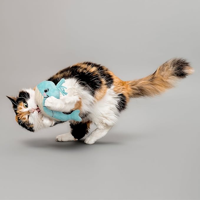 Cat Toys | Plush Toy Whale Cat Toys for Indoor Cats | Eco Friendly Toy Made from Non Toxic Materials