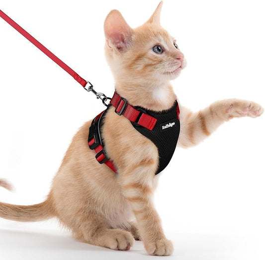 rabbitgoo Cat Harness and Leash for Walking, Escape Proof Soft Adjustable Vest Harnesses for Cats, Easy Control Breathable Reflective Strips Jacket, Black & Red, XXS