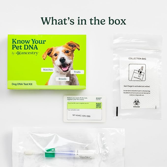 Ancestry Dog DNA Test: at-Home Testing, Breed Identification & Trait Insights, Canine Genetics Analysis, Unique Pet Parent Gift, New Puppy Essentials