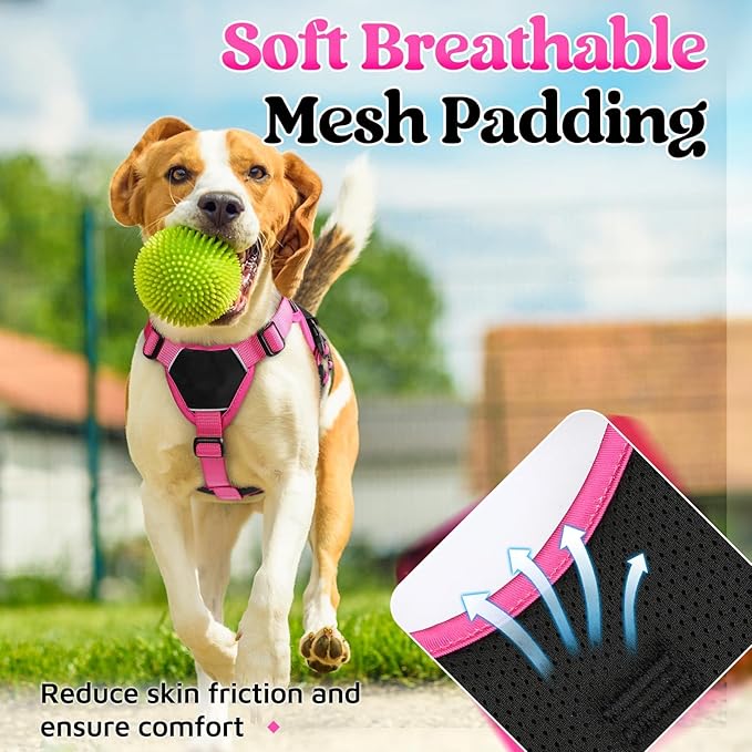 rabbitgoo Escape Proof Dog Harness Small Sized Dog, Soft Padded Full Body Pet Harness, Reflective Adjustable Vest with Lift Handle and Leash Clip for Walking Hiking Training, Pink & Black, S