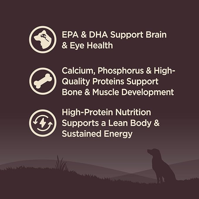 Wellness CORE Puppy Dry Dog Food, Small Breed, Grain-Free, High Protein, Natural, Turkey & Salmon Recipe, (4-Pound Bag)