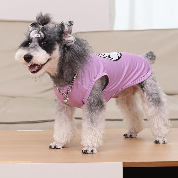 CuteBone Dog Shirts 2-Pack Soft Pet Clothes Breathable Summer Vest for Small Puppy and Stretchy Cat Apparel 2BX21L-D