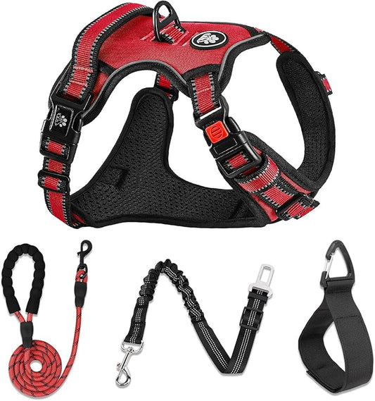NESTROAD No Pull Dog Harness,Adjustable Oxford Dog Vest Harness with Leash,Reflective No-Choke Pet Harness with Easy Control Soft Handle for Small Dogs(Small,Red)