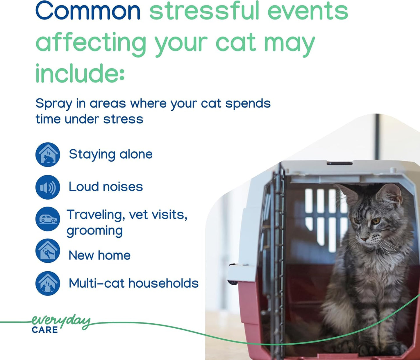 Virbac Zenifel Cat Spray for Managing Stress-Related Behaviors in Kittens & Cats - Quick-Acting - Ideal for Unexpected Stressful Situations - 1 Bottle